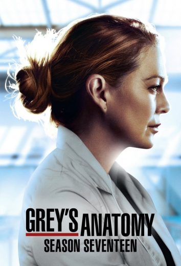 مسلسل Grey’s Anatomy الموسم 17 الحلقة 11 مترجمة