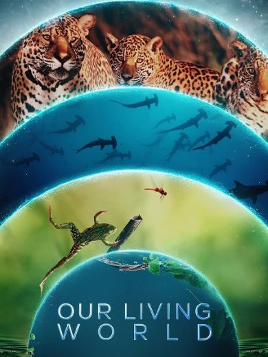 مسلسل Our Living World الحلقة 4 الاخيرة مترجمة