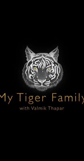 مشاهدة فيلم My Tiger Family 2024 مترجم